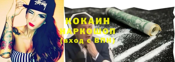 бошки Алексин
