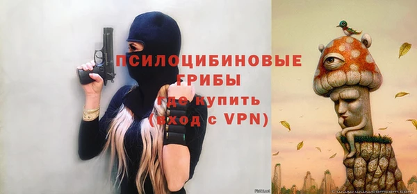 бошки Алексин