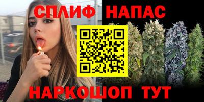 спиды Волжск