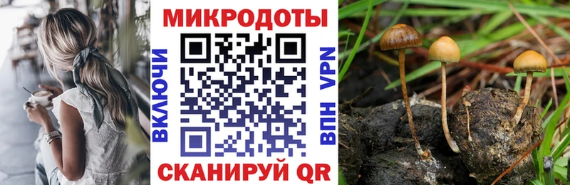 Галлюциногенные грибы Cubensis  Балахна 