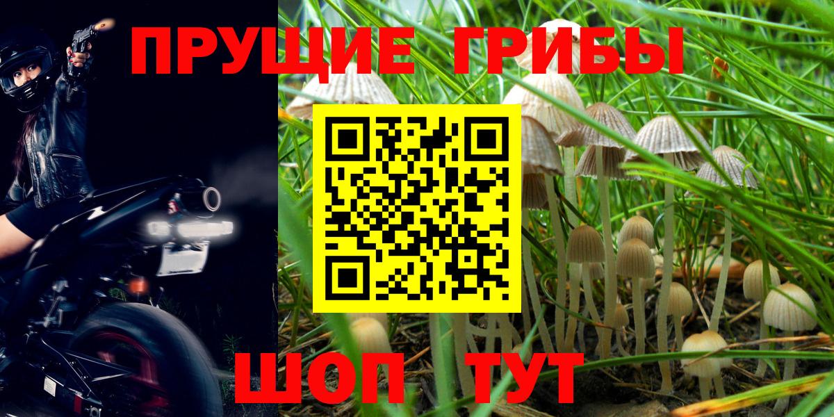 Галлюциногенные грибы Magic Shrooms  Вход с VPN  Балахна 