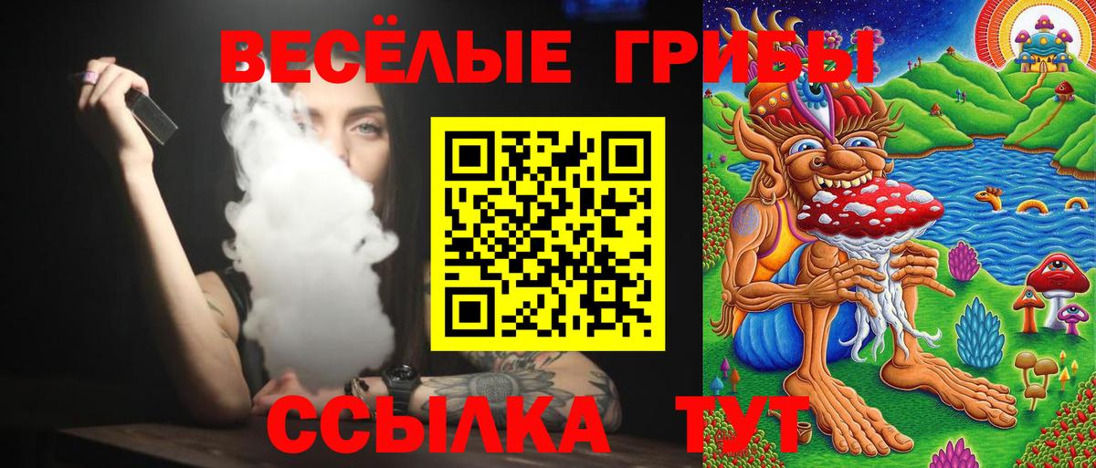 Псилоцибиновые грибы MAGIC MUSHROOMS Балахна